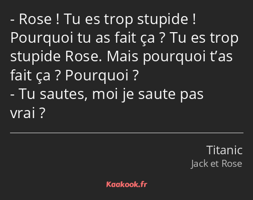 Rose ! Tu es trop stupide ! Pourquoi tu as fait ça ? Tu es trop stupide Rose. Mais pourquoi t’as…