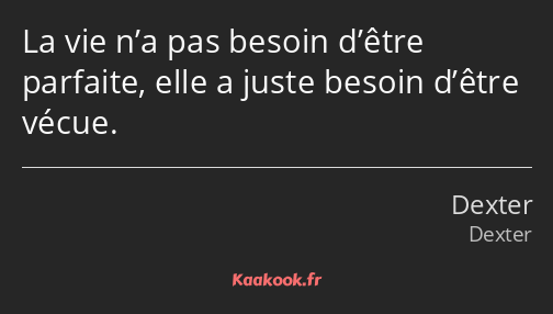 La vie n’a pas besoin d’être parfaite, elle a juste besoin d’être vécue.