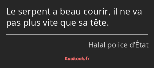 Le serpent a beau courir, il ne va pas plus vite que sa tête.