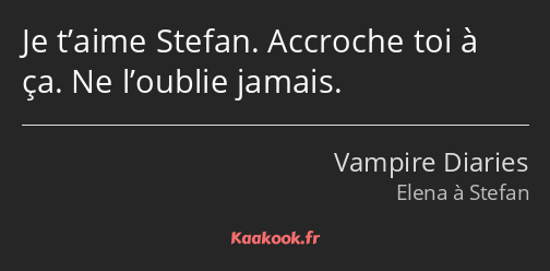 Je t’aime Stefan. Accroche toi à ça. Ne l’oublie jamais.