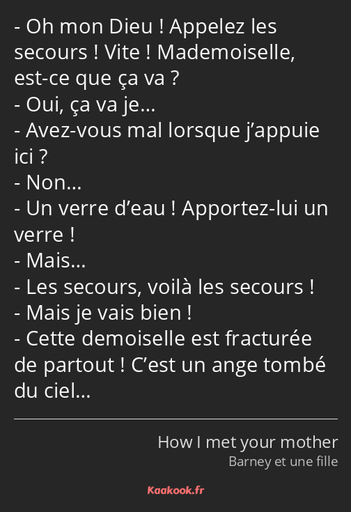 Oh mon Dieu ! Appelez les secours ! Vite ! Mademoiselle, est-ce que ça va ? Oui, ça va je… Avez…