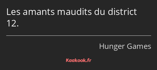 Les amants maudits du district 12.