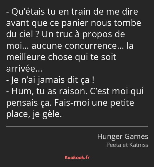 Qu’étais tu en train de me dire avant que ce panier nous tombe du ciel ? Un truc à propos de moi……