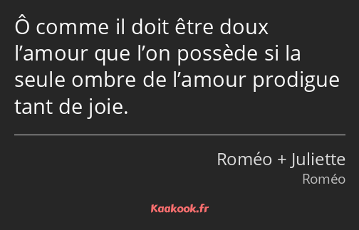 Ô comme il doit être doux l’amour que l’on possède si la seule ombre de l’amour prodigue tant de…