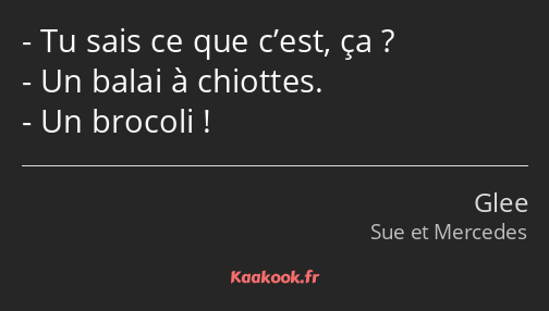 Tu sais ce que c’est, ça ? Un balai à chiottes. Un brocoli !