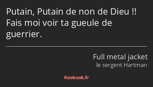 Putain, Putain de non de Dieu !! Fais moi voir ta gueule de guerrier.