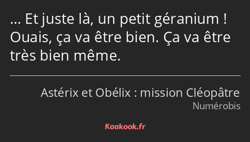 … Et juste là, un petit géranium ! Ouais, ça va être bien. Ça va être très bien même.