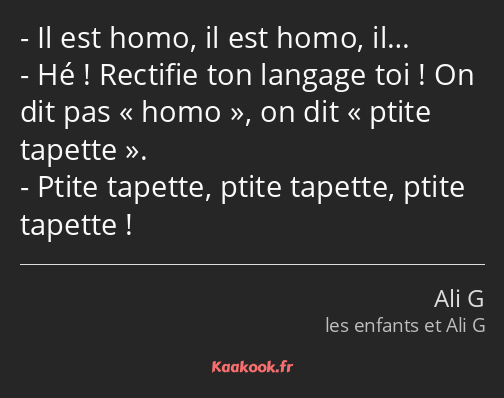 Il est homo, il est homo, il… Hé ! Rectifie ton langage toi ! On dit pas homo, on dit ptite tapette…