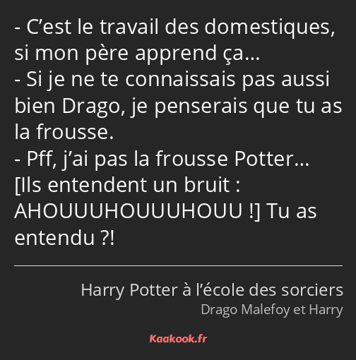 C’est le travail des domestiques, si mon père apprend ça… Si je ne te connaissais pas aussi bien…