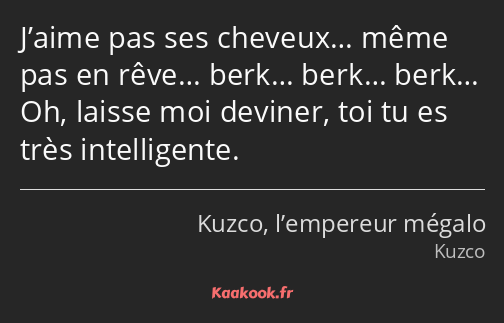 J’aime pas ses cheveux… même pas en rêve… berk… berk… berk… Oh, laisse moi deviner, toi tu es très…