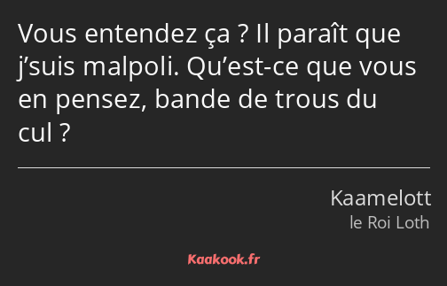 Vous entendez ça ? Il paraît que j’suis malpoli. Qu’est-ce que vous en pensez, bande de trous du…