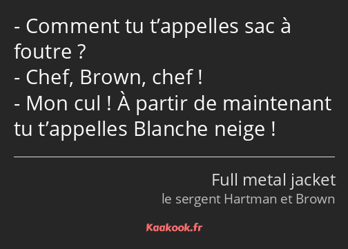 Comment tu t’appelles sac à foutre ? Chef, Brown, chef ! Mon cul ! À partir de maintenant tu…