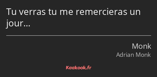 Tu verras tu me remercieras un jour…