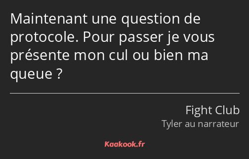 Maintenant une question de protocole. Pour passer je vous présente mon cul ou bien ma queue ?