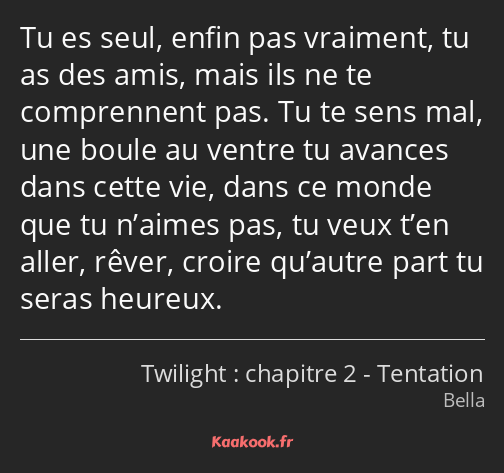 Tu es seul, enfin pas vraiment, tu as des amis, mais ils ne te comprennent pas. Tu te sens mal, une…