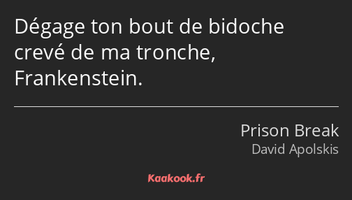 Dégage ton bout de bidoche crevé de ma tronche, Frankenstein.