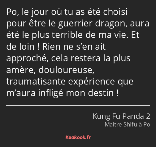 Po, le jour où tu as été choisi pour être le guerrier dragon, aura été le plus terrible de ma vie…