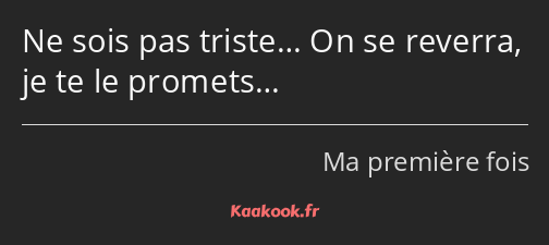 Ne sois pas triste… On se reverra, je te le promets…