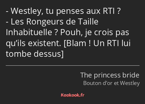 Westley, tu penses aux RTI ? Les Rongeurs de Taille Inhabituelle ? Pouh, je crois pas qu’ils…