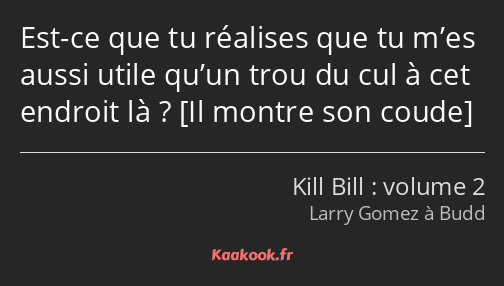 Est-ce que tu réalises que tu m’es aussi utile qu’un trou du cul à cet endroit là ? 