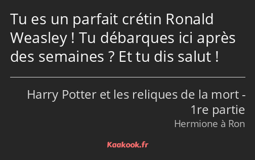 Tu es un parfait crétin Ronald Weasley ! Tu débarques ici après des semaines ? Et tu dis salut !