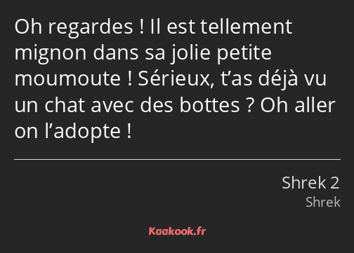 Oh regardes ! Il est tellement mignon dans sa jolie petite moumoute ! Sérieux, t’as déjà vu un chat…
