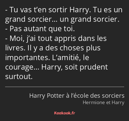 Tu vas t’en sortir Harry. Tu es un grand sorcier… un grand sorcier. Pas autant que toi. Moi, j’ai…