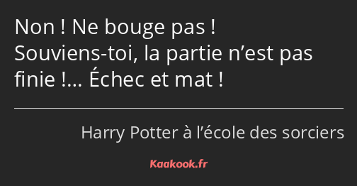 Non ! Ne bouge pas ! Souviens-toi, la partie n’est pas finie !… Échec et mat !