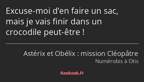 Excuse-moi d’en faire un sac, mais je vais finir dans un crocodile peut-être !