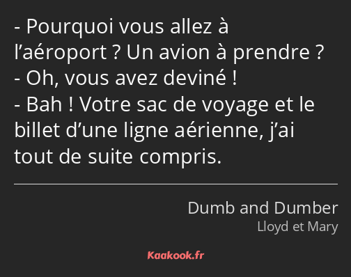 Pourquoi vous allez à l’aéroport ? Un avion à prendre ? Oh, vous avez deviné ! Bah ! Votre sac de…