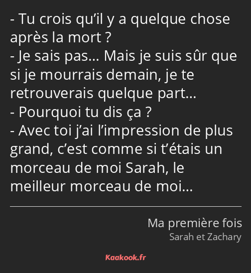 Tu crois qu’il y a quelque chose après la mort ? Je sais pas… Mais je suis sûr que si je mourrais…