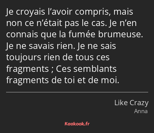 Je croyais l’avoir compris, mais non ce n’était pas le cas. Je n’en connais que la fumée brumeuse…