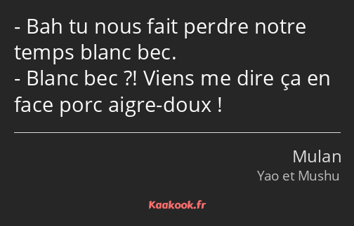 Bah tu nous fait perdre notre temps blanc bec. Blanc bec ?! Viens me dire ça en face porc aigre…