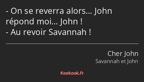 On se reverra alors… John répond moi… John ! Au revoir Savannah !