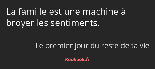 La famille est une machine à broyer les sentiments.