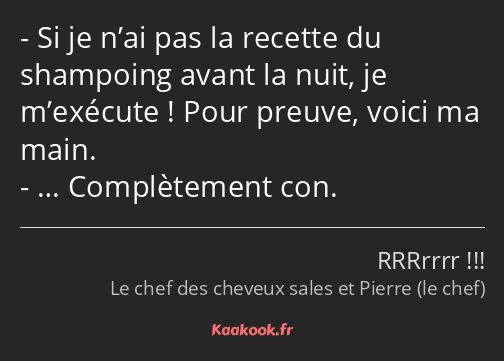 Si je n’ai pas la recette du shampoing avant la nuit, je m’exécute ! Pour preuve, voici ma main. ……