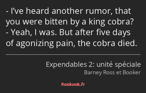 I’ve heard another rumor, that you were bitten by a king cobra? Yeah, I was. But after five days of…