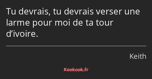 Tu devrais, tu devrais verser une larme pour moi de ta tour d’ivoire.