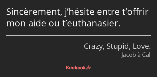 Sincèrement, j’hésite entre t’offrir mon aide ou t’euthanasier.