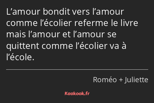 L’amour bondit vers l’amour comme l’écolier referme le livre mais l’amour et l’amour se quittent…