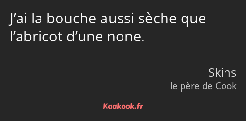 J’ai la bouche aussi sèche que l’abricot d’une none.