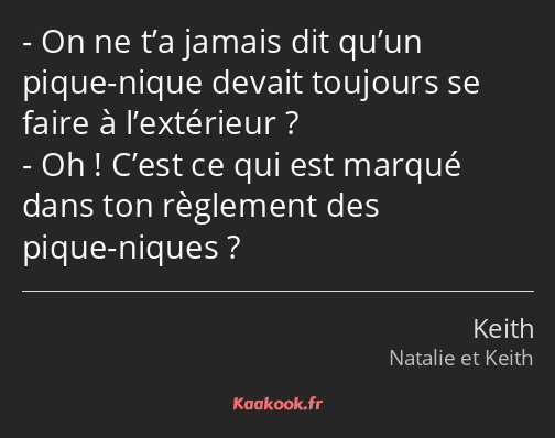 On ne t’a jamais dit qu’un pique-nique devait toujours se faire à l’extérieur ? Oh ! C’est ce qui…