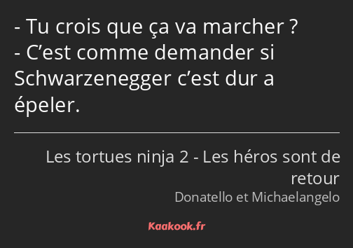 Tu crois que ça va marcher ? C’est comme demander si Schwarzenegger c’est dur a épeler.