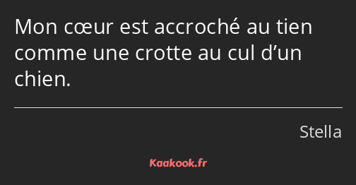 Mon cœur est accroché au tien comme une crotte au cul d’un chien.