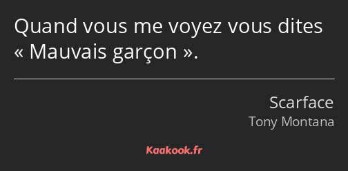 Quand vous me voyez vous dites Mauvais garçon.