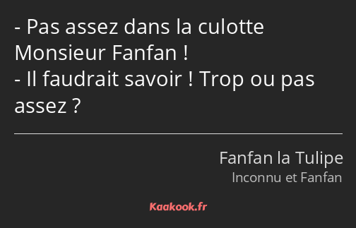 Pas assez dans la culotte Monsieur Fanfan ! Il faudrait savoir ! Trop ou pas assez ?