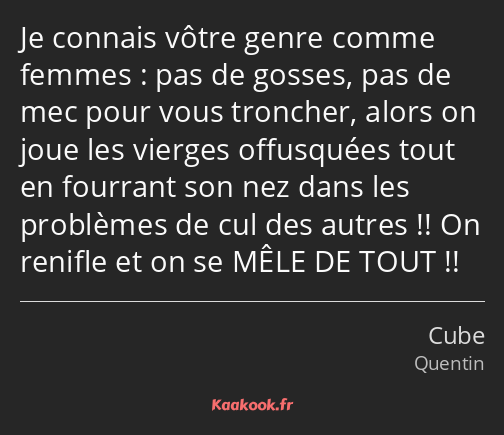 Je connais vôtre genre comme femmes : pas de gosses, pas de mec pour vous troncher, alors on joue…