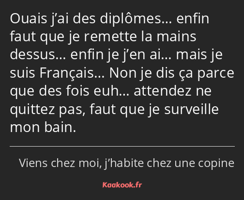 Ouais j’ai des diplômes… enfin faut que je remette la mains dessus… enfin je j’en ai… mais je suis…