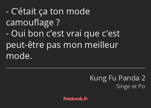 C’était ça ton mode camouflage ? Oui bon c’est vrai que c’est peut-être pas mon meilleur mode.