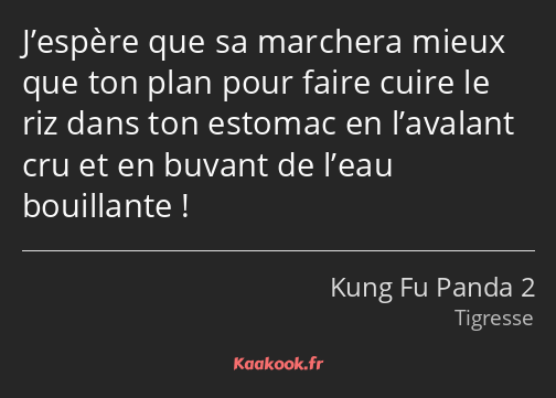 J’espère que sa marchera mieux que ton plan pour faire cuire le riz dans ton estomac en l’avalant…